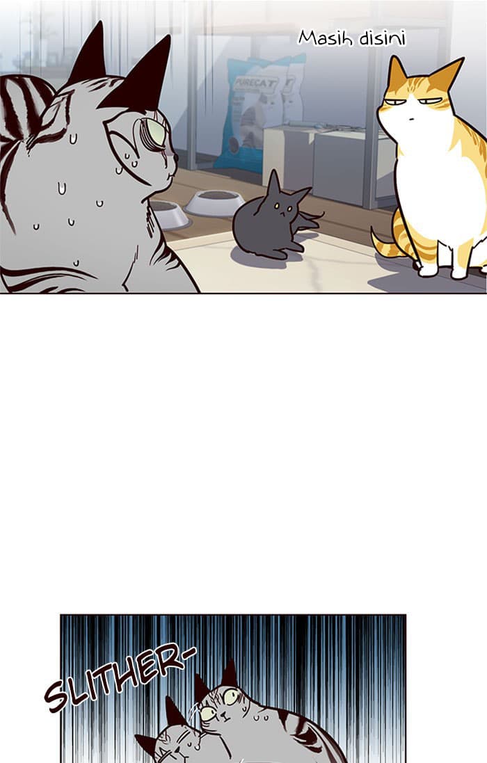 Eleceed Page 41