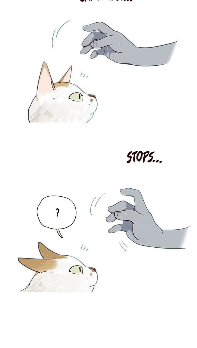 Eleceed Page 19