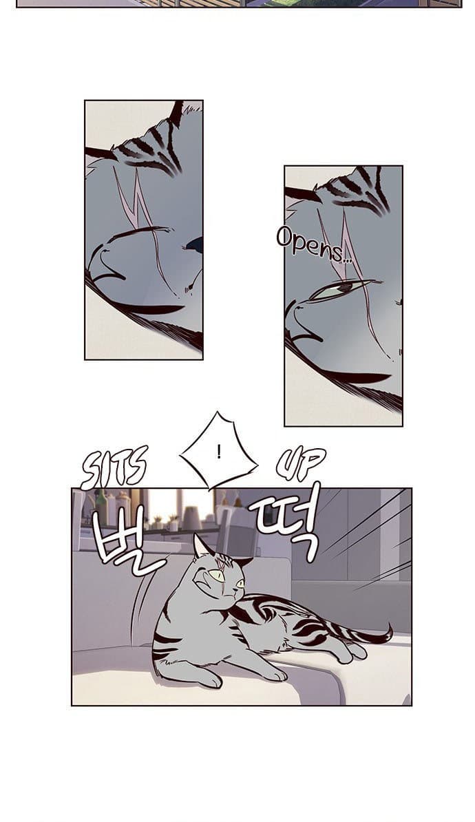 Eleceed Page 51