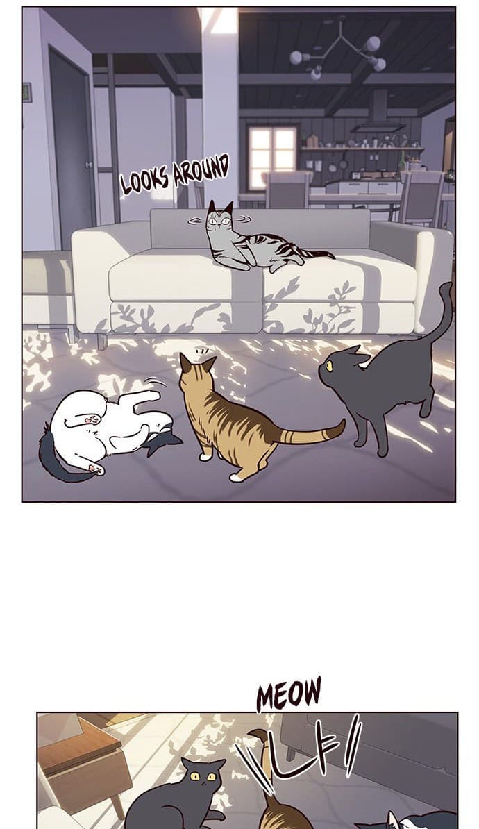 Eleceed Page 52
