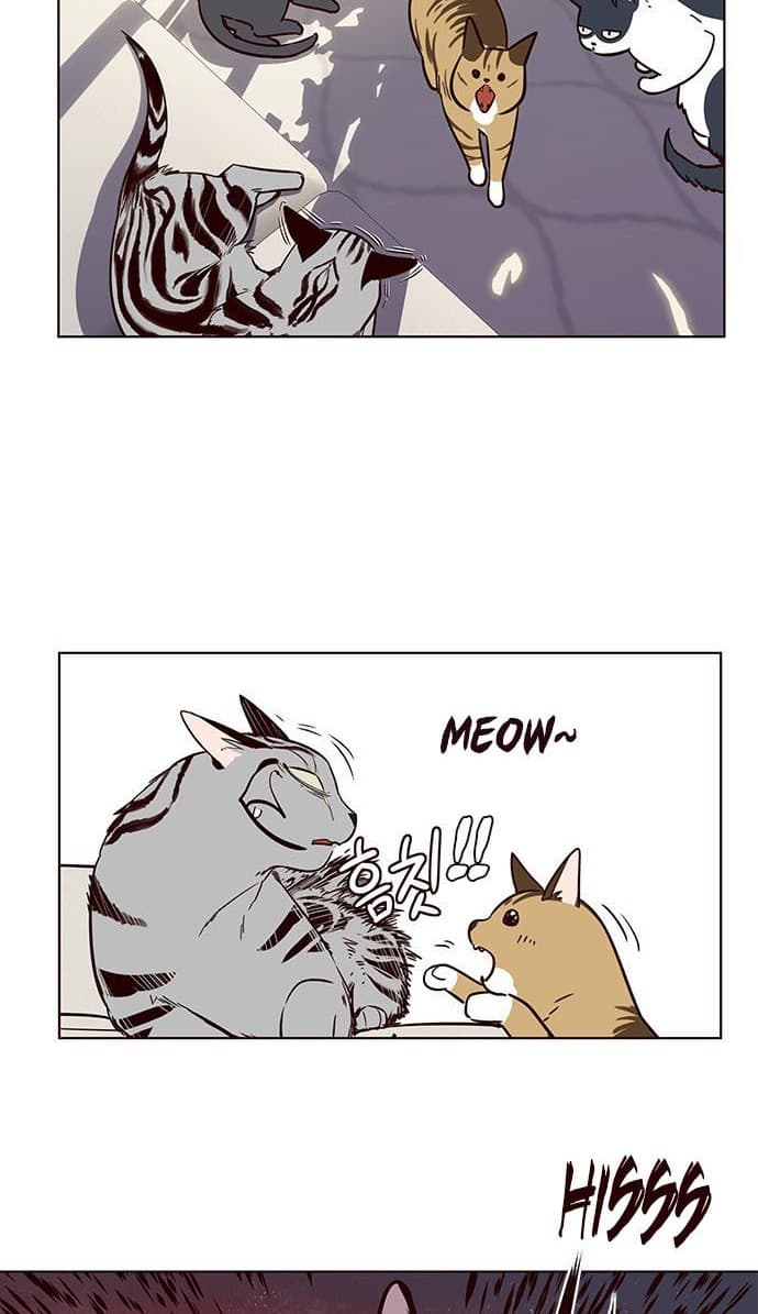 Eleceed Page 53