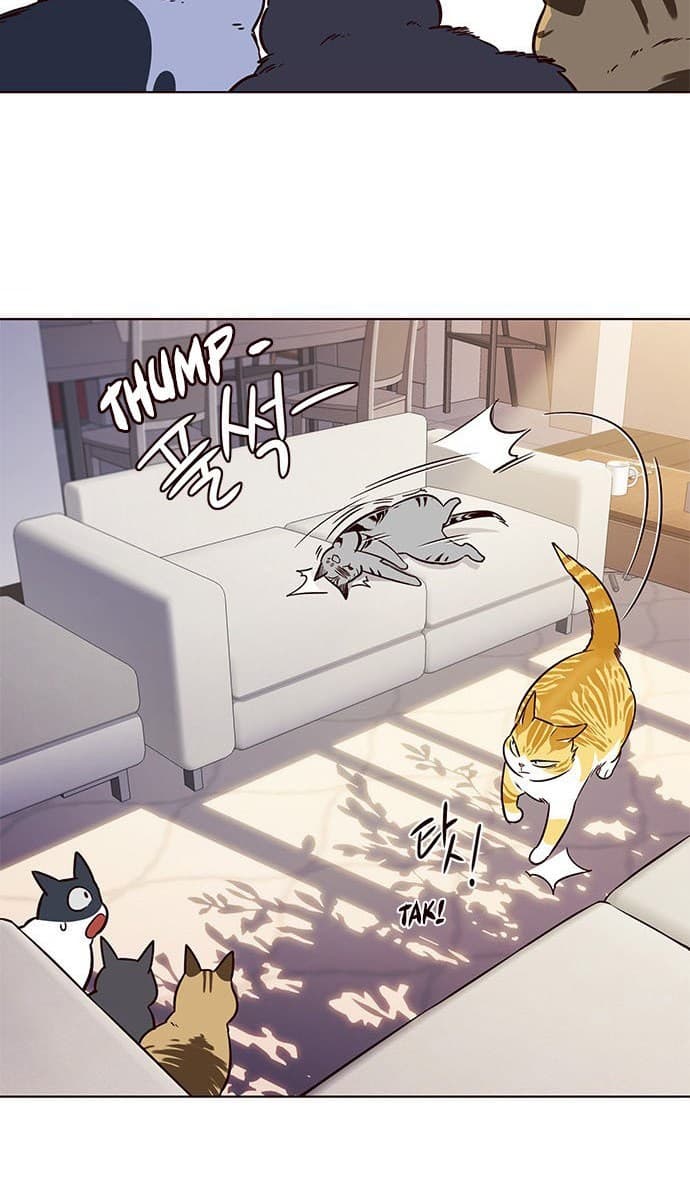 Eleceed Page 62