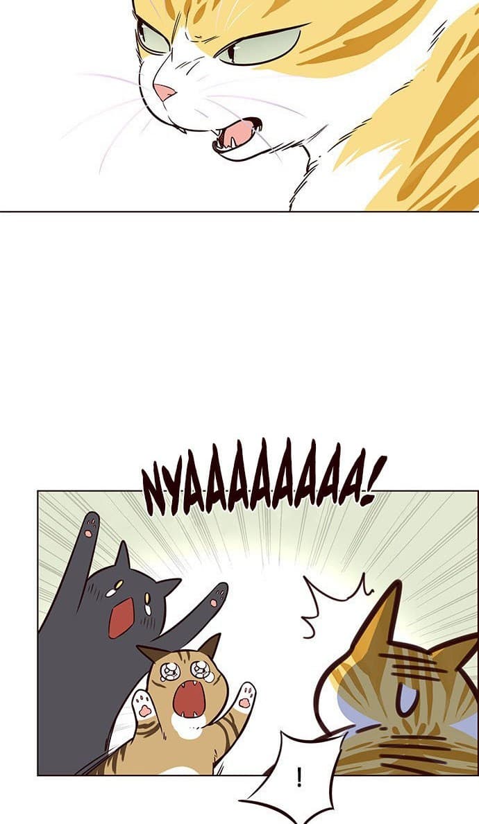 Eleceed Page 64