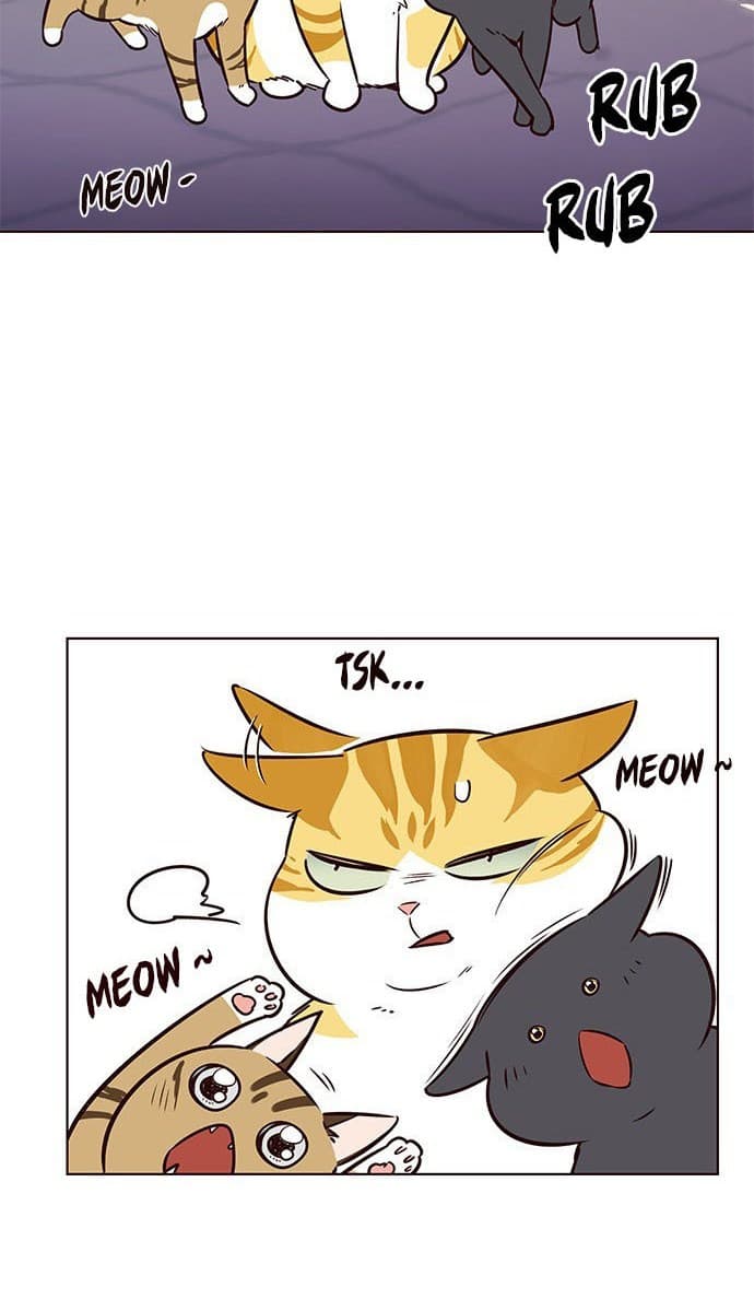 Eleceed Page 66