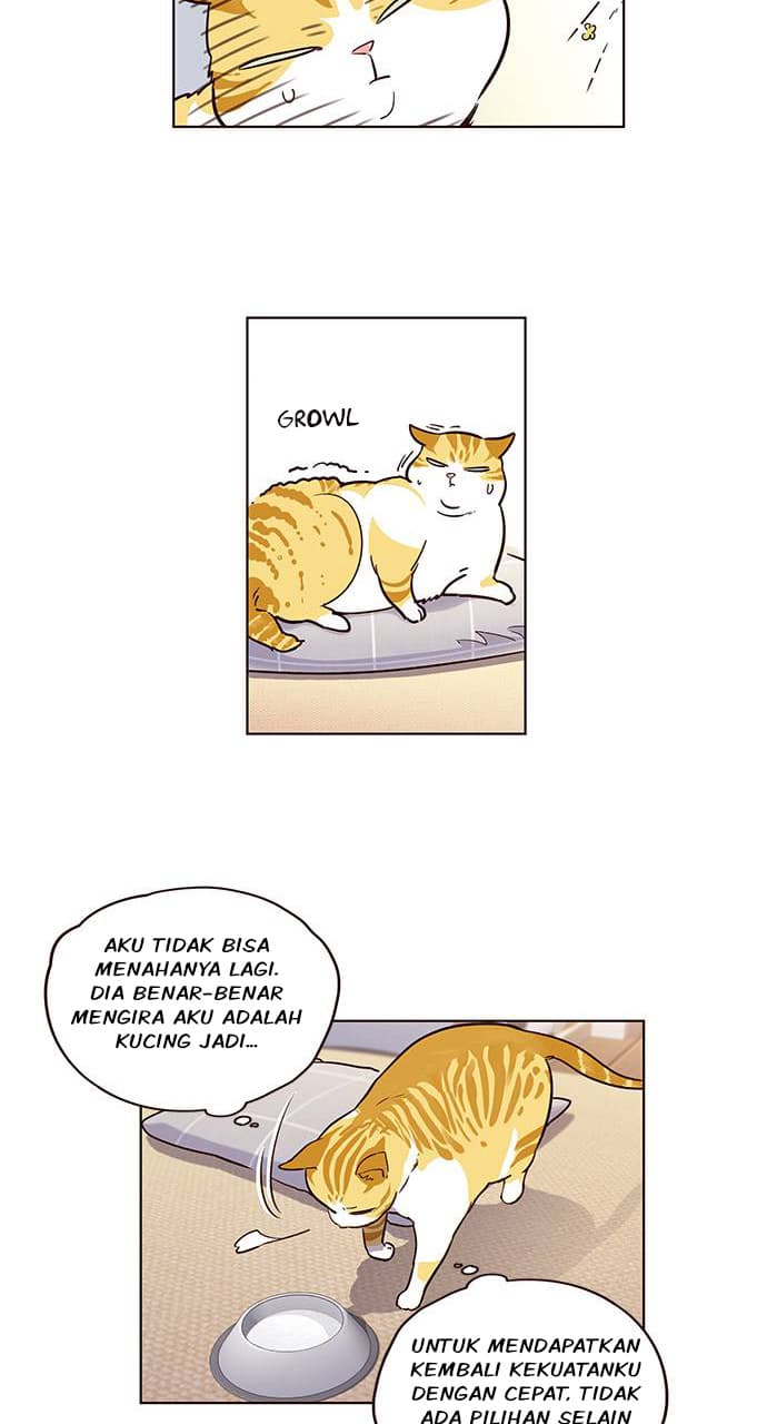 Eleceed Page 52