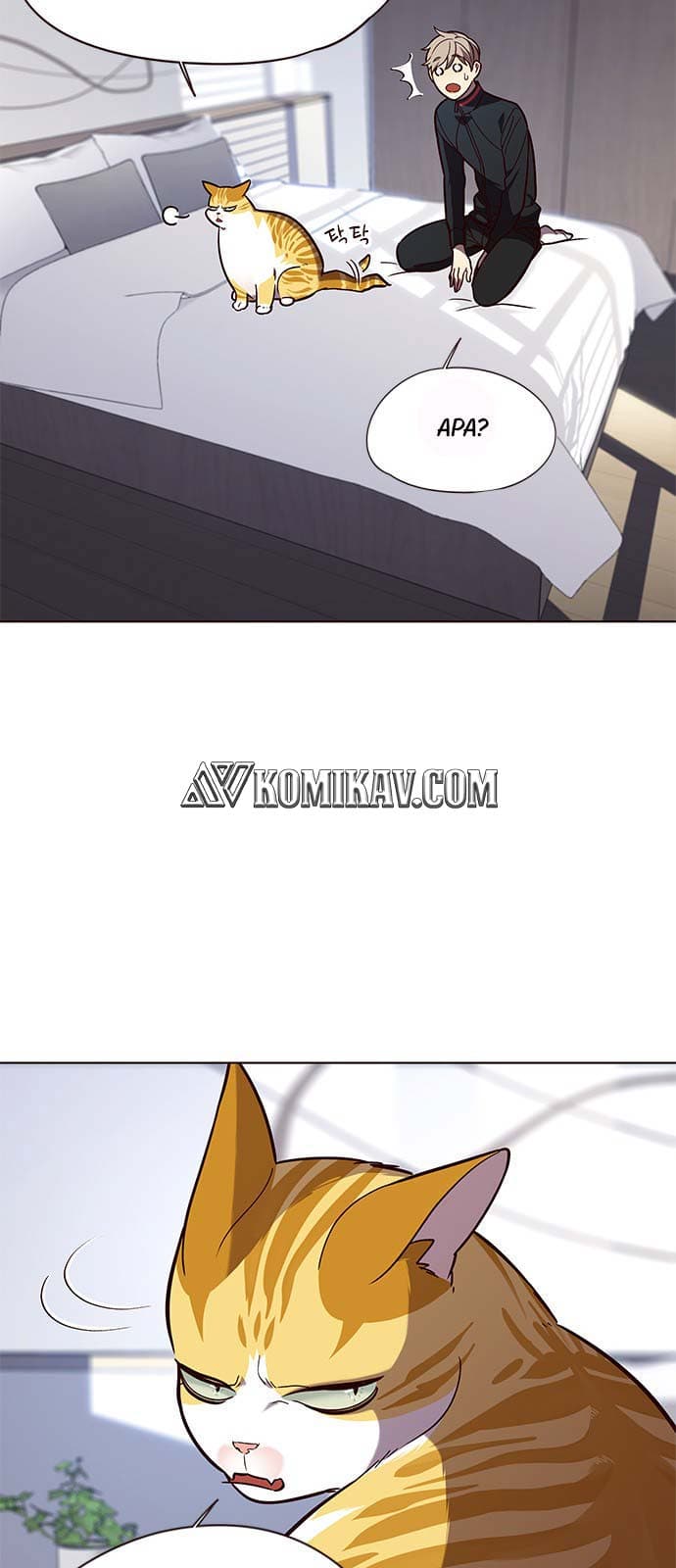 Eleceed Page 4