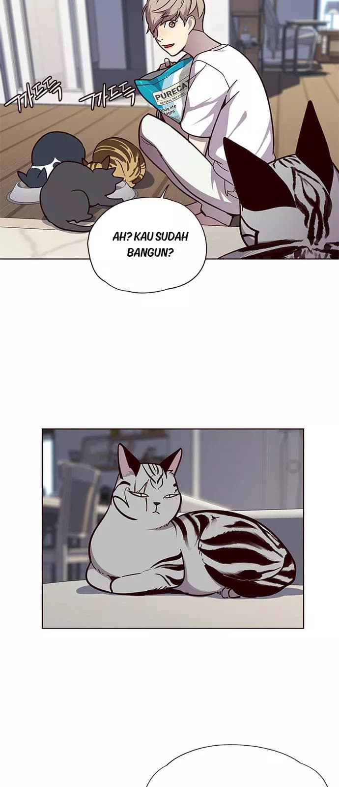 Eleceed Page 11