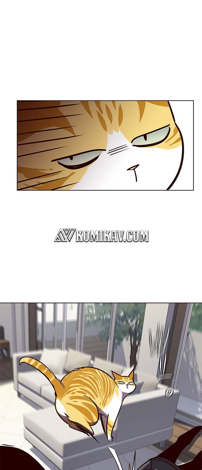 Eleceed Page 24