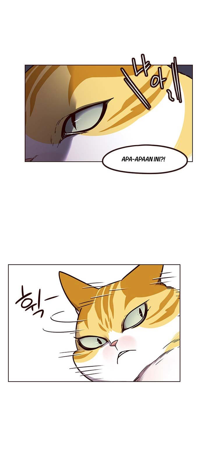 Eleceed Page 5