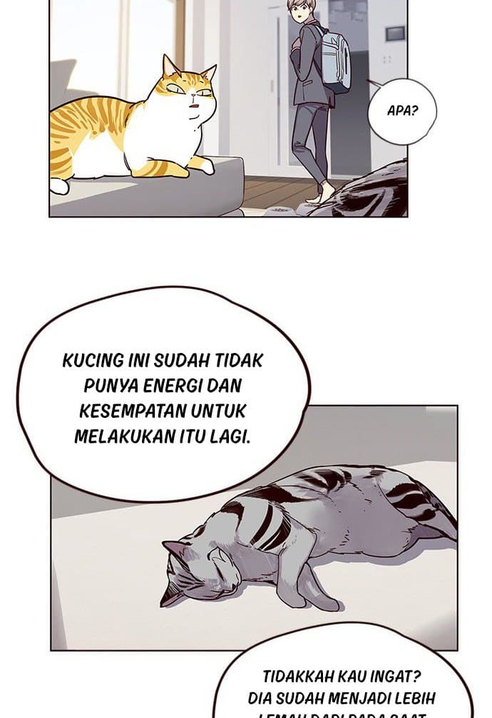 Eleceed Page 41