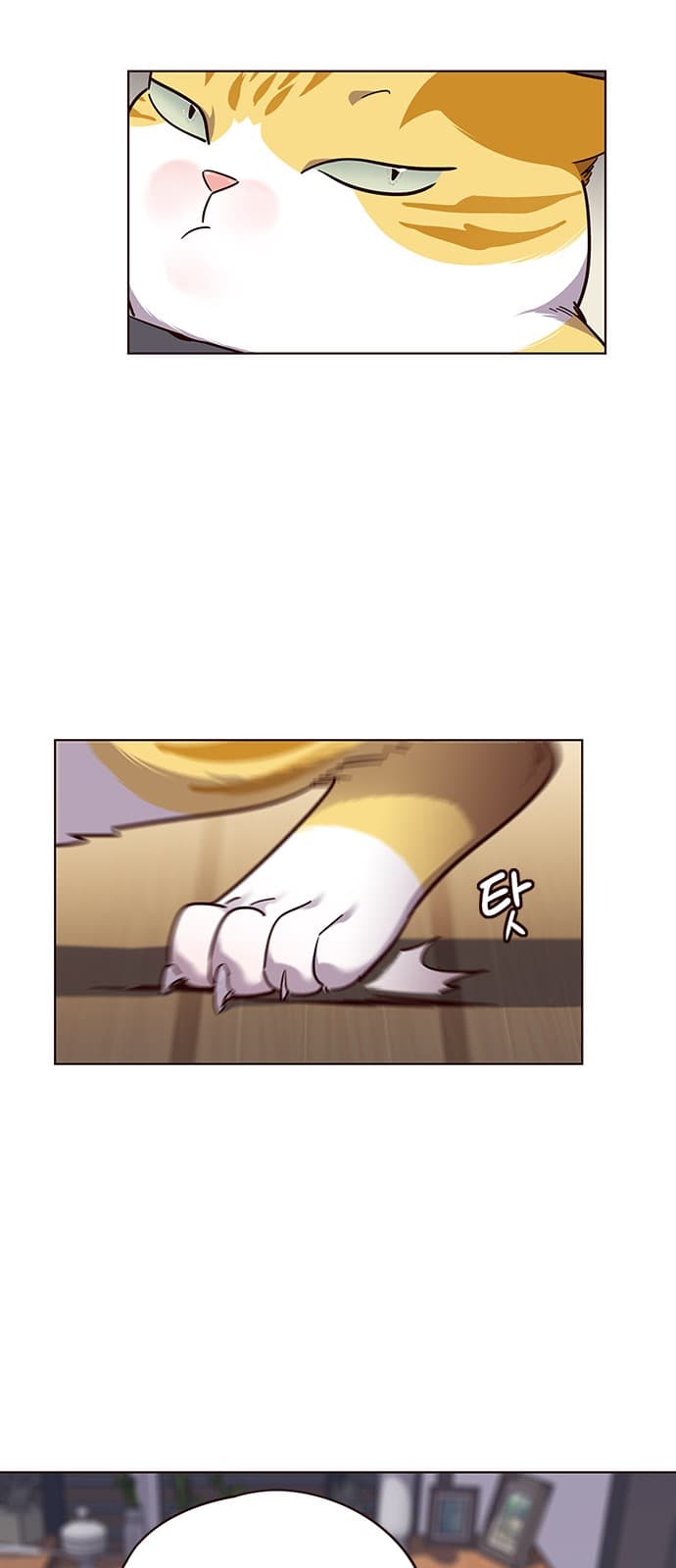 Eleceed Page 13