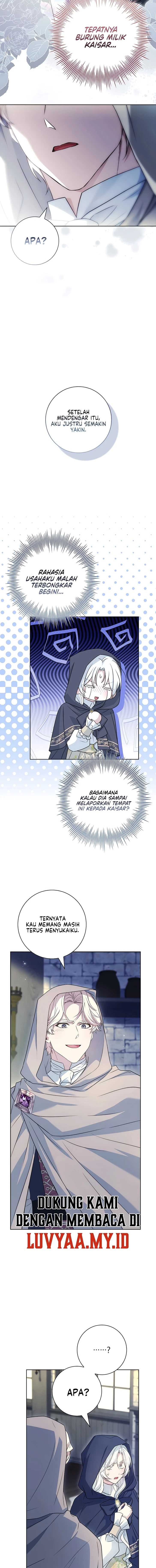 Darling, Why Can’t We Divorce? Page 7