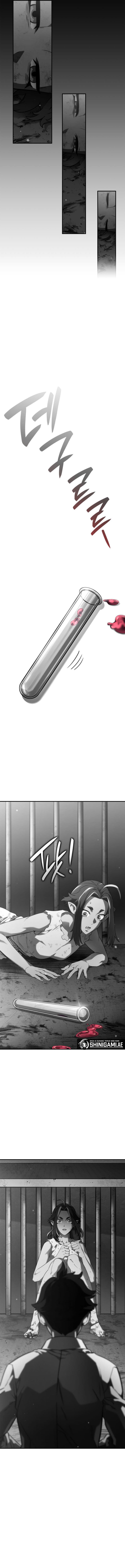 Revenge Of The Iron-Blooded Sword Hound Page 12