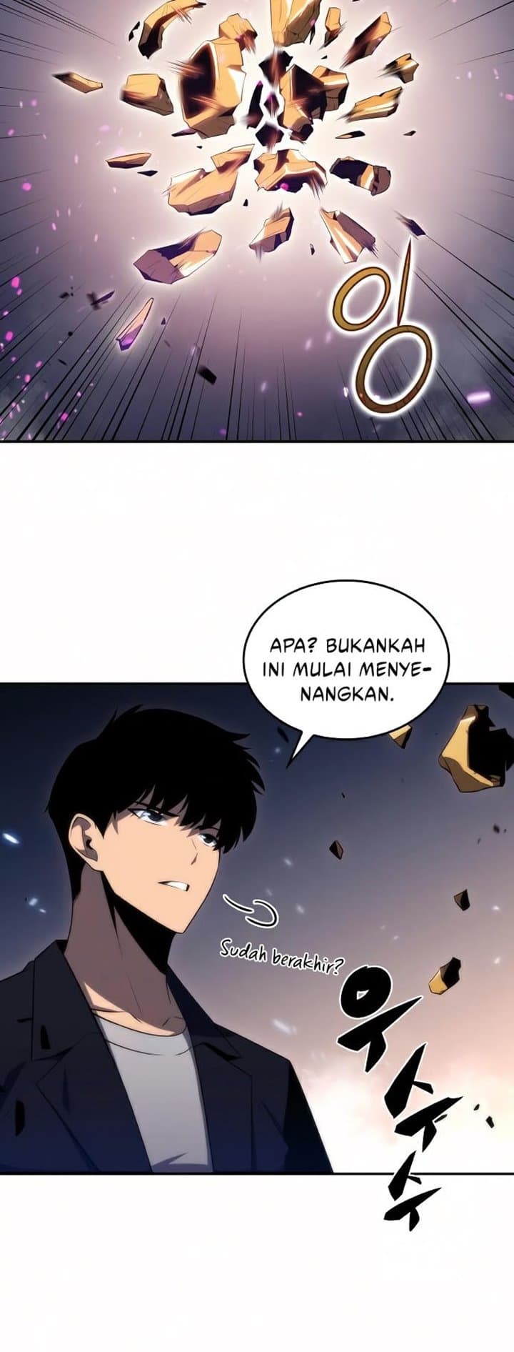 Solo Max-Level Newbie Page 48