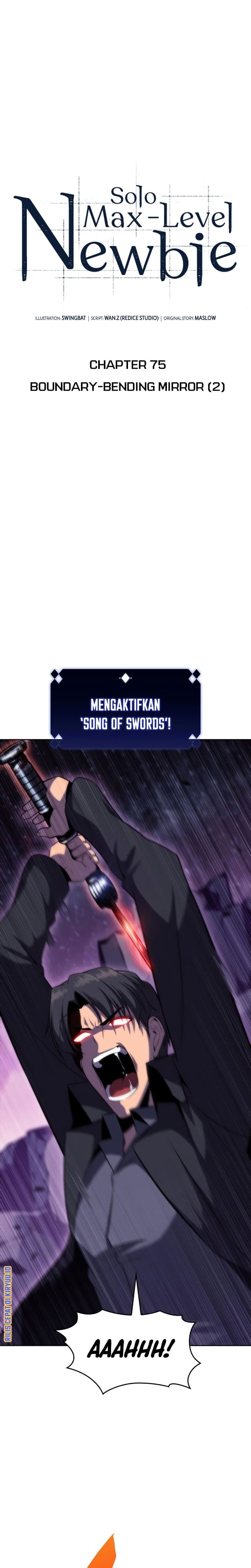Solo Max-Level Newbie Page 11