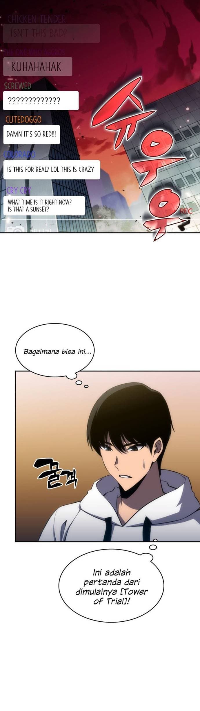 Solo Max-Level Newbie Page 31