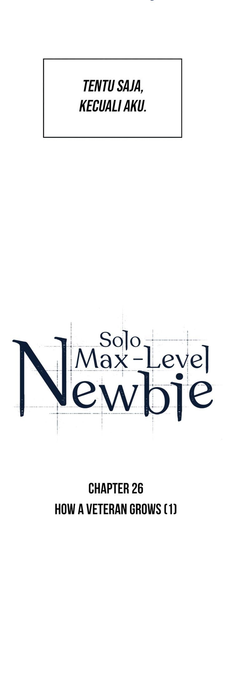 Solo Max-Level Newbie Page 19