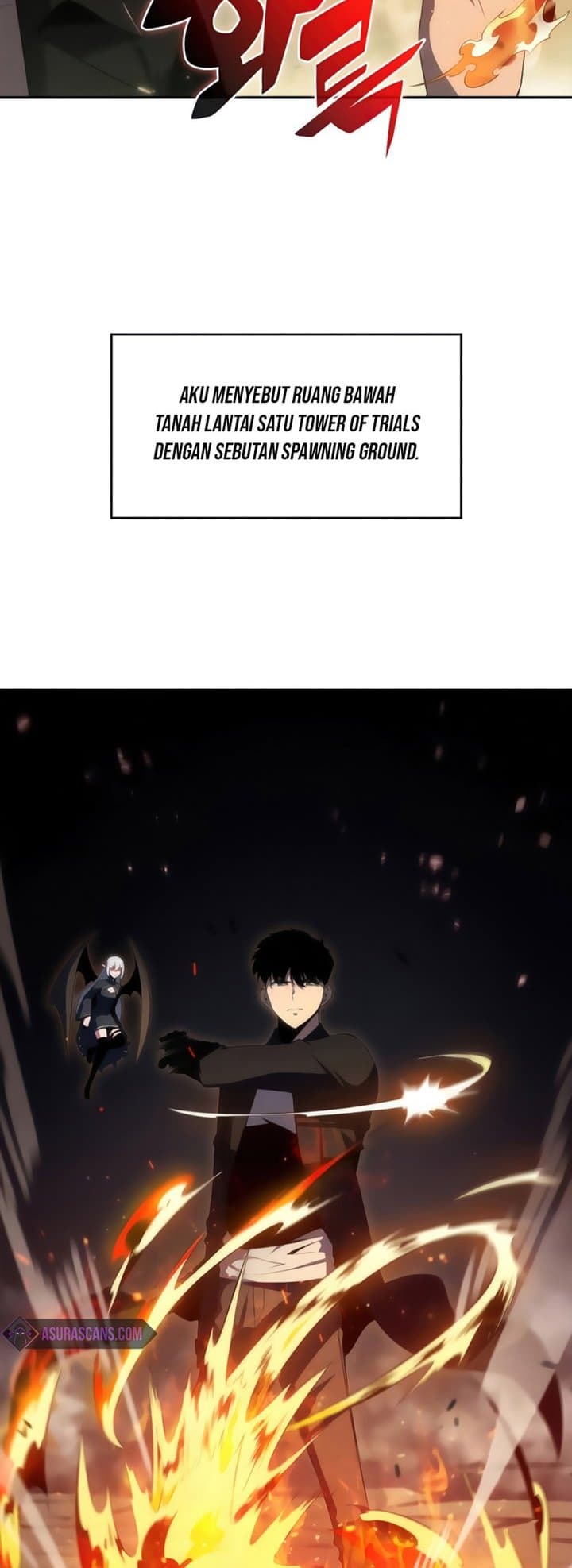 Solo Max-Level Newbie Page 48