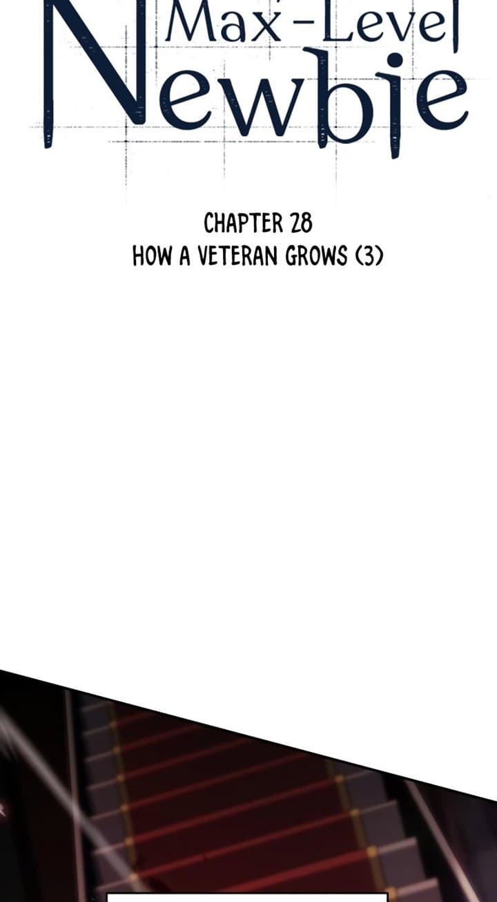 Solo Max-Level Newbie Page 11