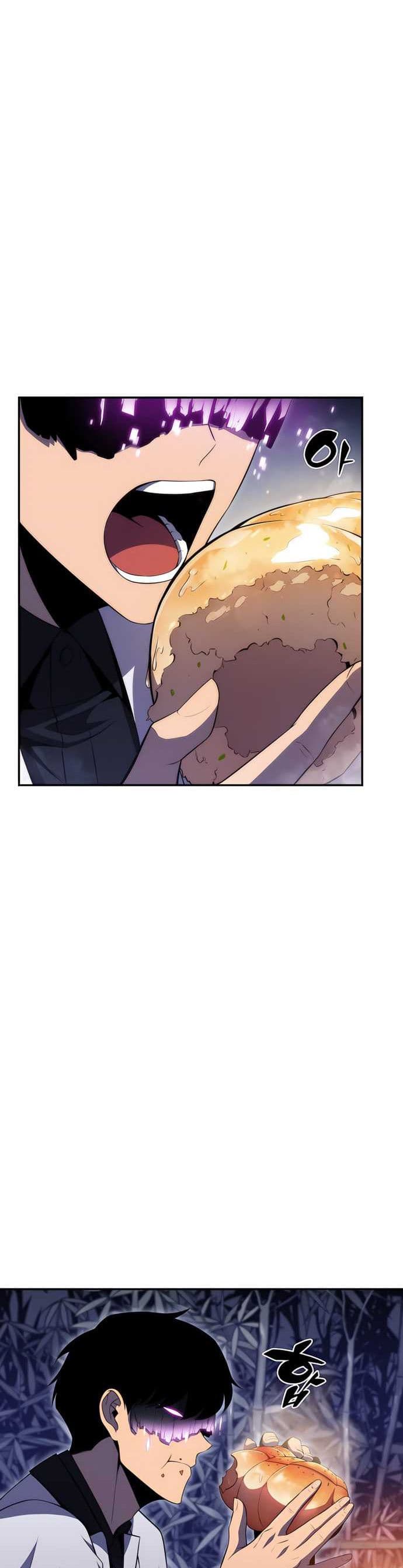 Solo Max-Level Newbie Page 13