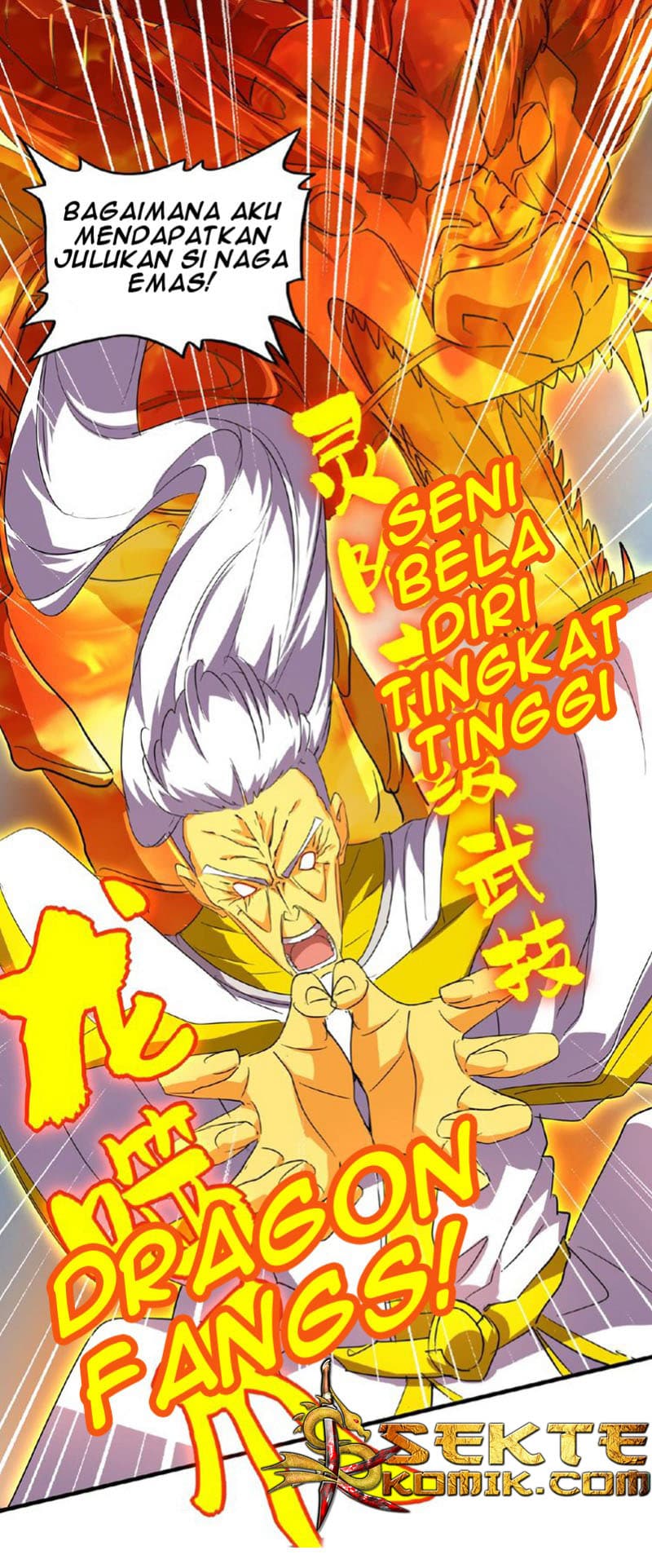 Demonic Emperor Page 17